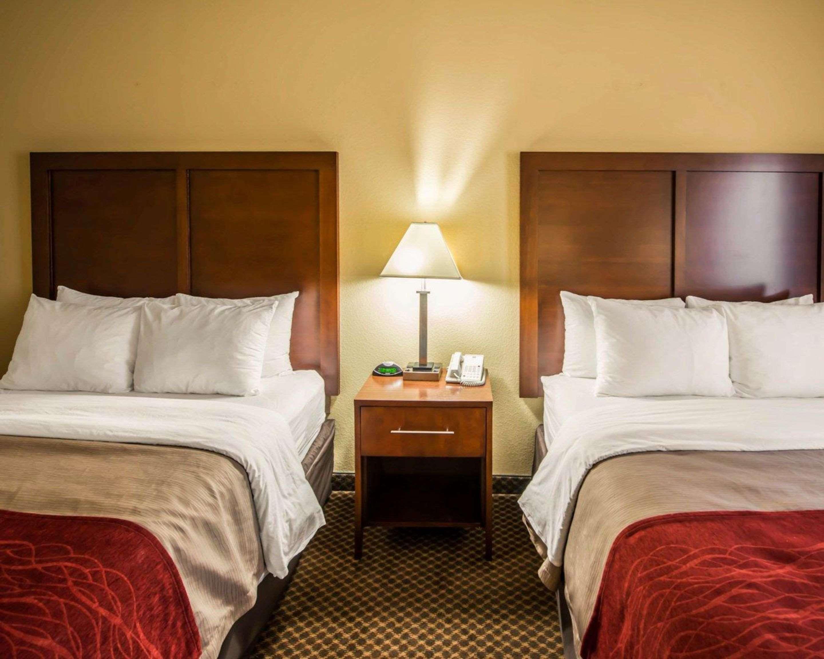 מורגנטון Comfort Inn & Suites מראה חיצוני תמונה